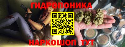 a pvp Пенза