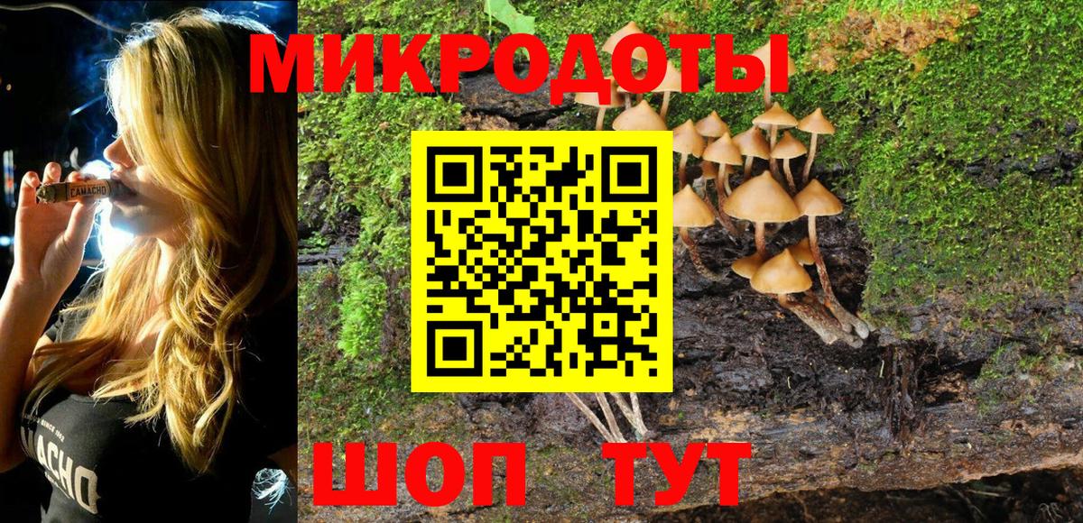 Светлоград  Галлюциногенные грибы Cubensis  Вход с VPN  Галлюциногенные грибы мицелий 